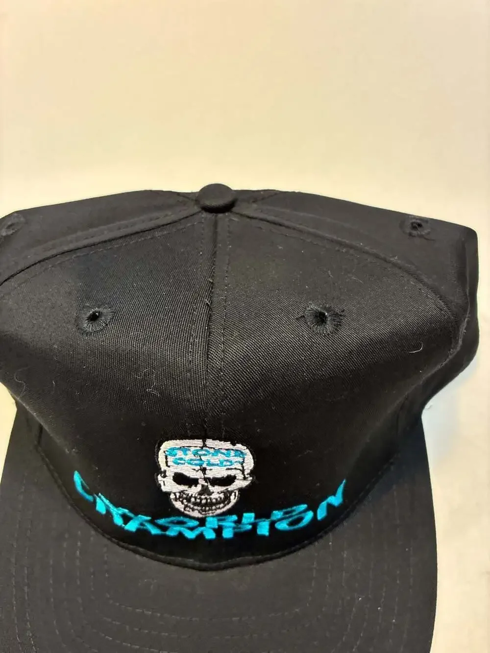 Vintage WWF Stone Cold Steve Austin World Champion Skull Snapback Hat